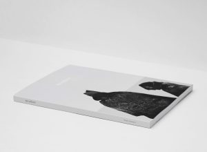 home-portfolio-12.jpg
