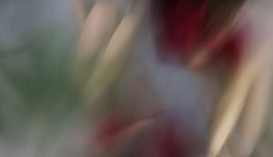 educacion somatica del movimiento