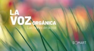 la voz organica taller somart